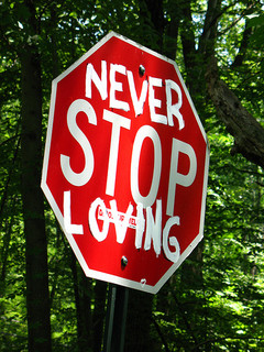 Never Stop Loving