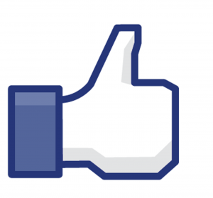 Facebook Like Icon