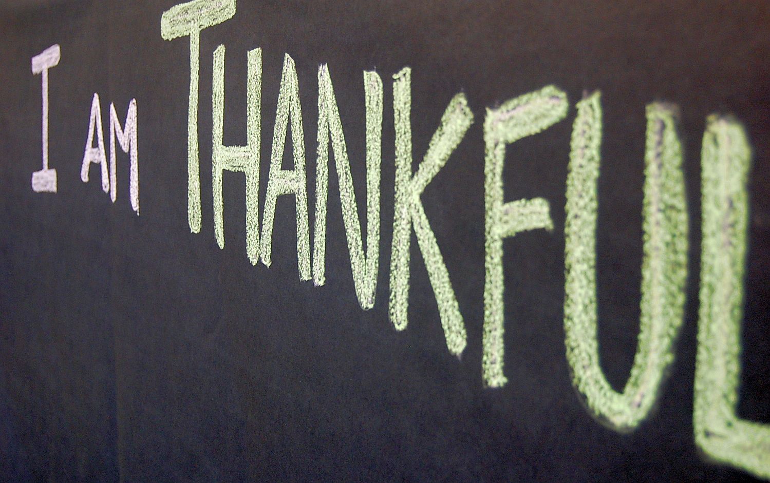 Thank you my life. Thankful. I am thankful. Be thankful for what you got. Thankfulness.